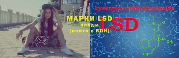 шишки Каменногорск