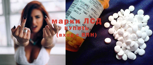 шишки Каменногорск