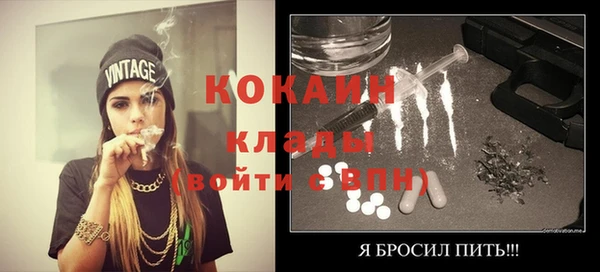 шишки Каменногорск