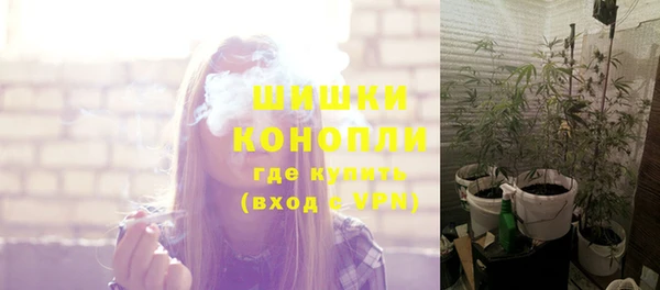 шишки Каменногорск