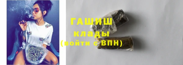 шишки Каменногорск