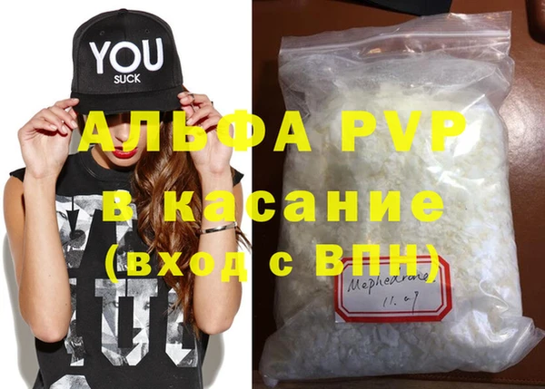 шишки Каменногорск