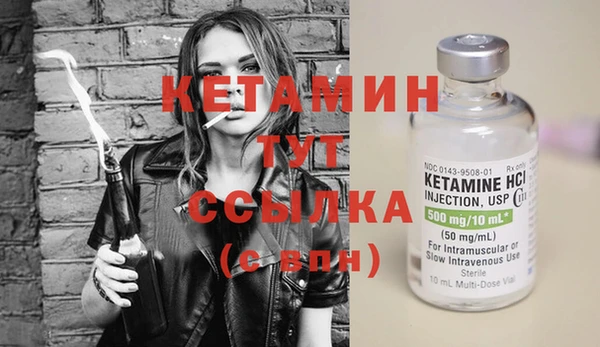 шишки Каменногорск