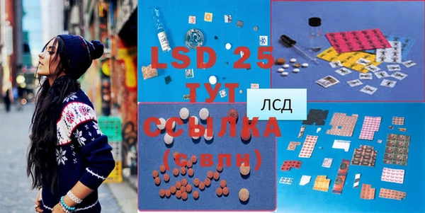 шишки Каменногорск