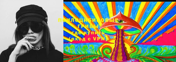синтетический гашиш Каменск-Шахтинский