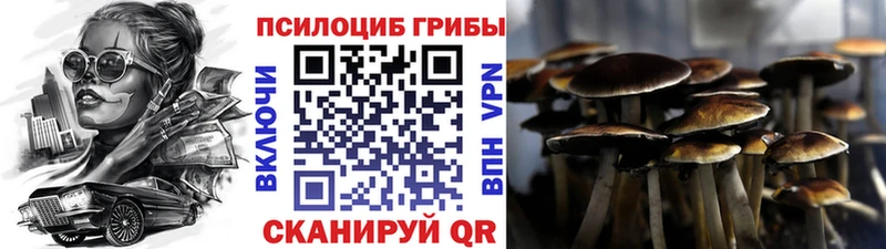 Псилоцибиновые грибы Psilocybine cubensis Майкоп