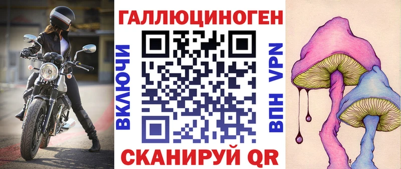Купить где  Майкоп  Псилоцибиновые грибы Cubensis 